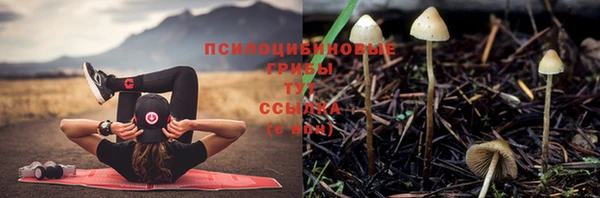 прущая мука Балабаново