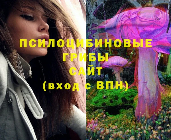 амф Армянск
